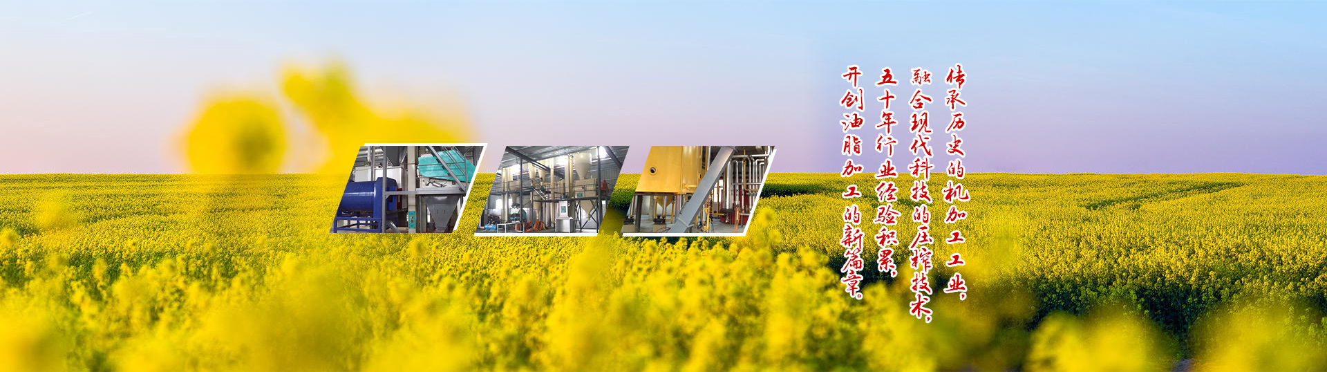 阜新金鴻泰化工有限公司